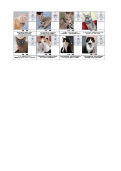 性格 ・ 特徴 性格 ・ 特徴 性格 ・ 特徴 性格 ・ 特徴 性格 ・ 特徴 性格 ・ 特