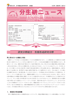 2007年9月発行 - 東京大学分子細胞生物学研究所