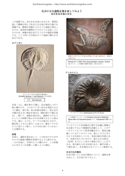 Running the fossilisation film backwards