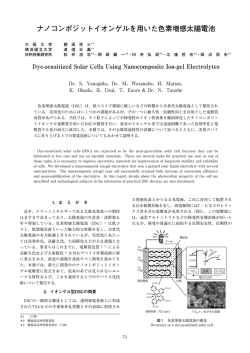 本文全体表示【PDF616KB】