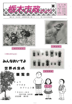 第771号 平成3年7月15日 [PDF：6240.4KB]