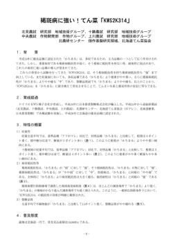 褐斑病に強い！てん菜「KWS2K314」