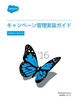 キャンペーン管理実装ガイド - Salesforce.com