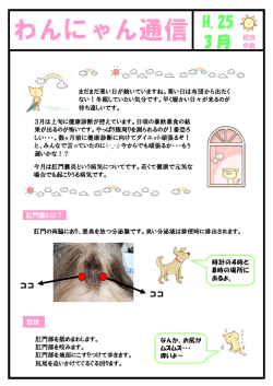 わんにゃん通信