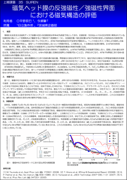 磁気ヘッド膜の反強磁性／強磁性界面 における磁気構造の評価