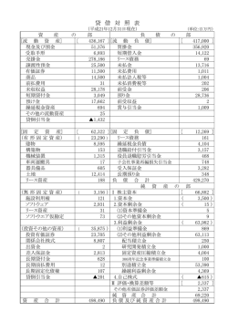 貸 借 対 照 表 - 国分グループ本社株式会社