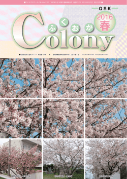 福岡コロニー本部の桜 なのみ工芸・里の桜 あけぼの園の桜