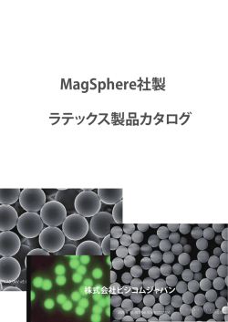 MagSphere Version3 BizCom Japan