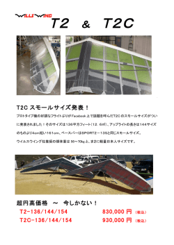 WillsWing T2 T2C フルレースモデル