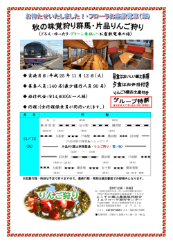 (ごろん・ゆったり・グリーン車扱い・お座敷電車の旅) 実施月日：平成 25