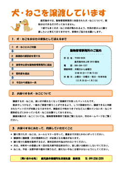 犬・ねこを譲渡しています