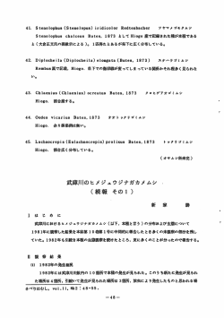 Page 1 41. Steno lophus (Stene lopus) ir i di color Redtenbacher