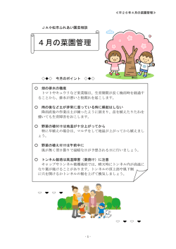4月の菜園管理