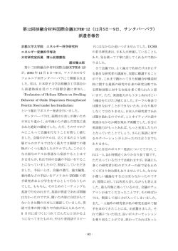 第12回核融合材料国際会議ICFRM-12 (12月5日―9日、サンタバーバラ