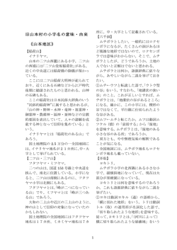 旧山本村の小字名の意味・由来 《山本地区》