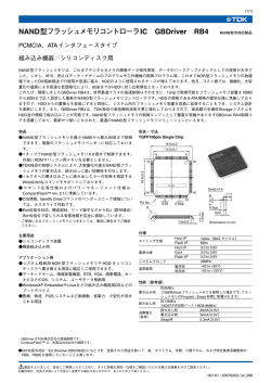 NAND型フラッシュメモリコントローラIC GBDriver RB4