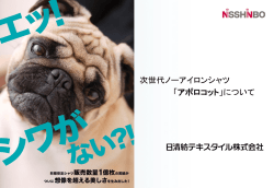 資料をPDFで見る