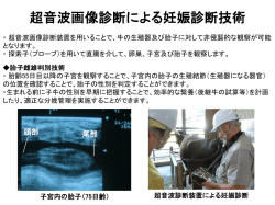 超音波画像診断による妊娠診断技術