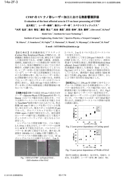 PDF ダウンロード