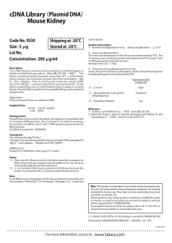 cDNA Library（Plasmid DNA）