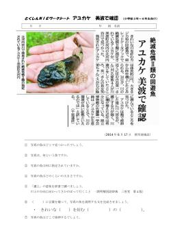 きれいな（ ）を好む
