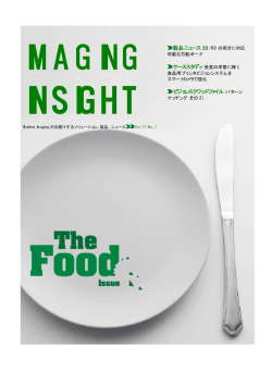 MatroxInsightVol.11 No.1 2010版