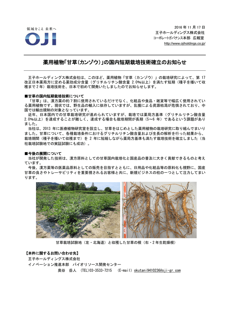 薬用植物 甘草 カンゾウ の国内短期栽培技術確立のお知らせ