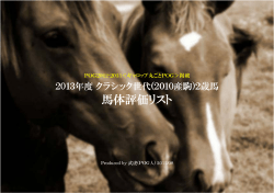 馬体評価リスト - Seesaa ブログ
