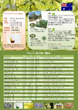 精油ページ1