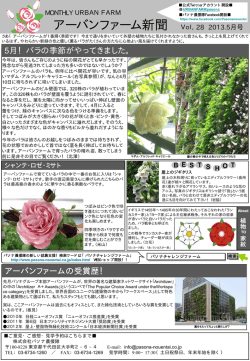 PDFダウンロード