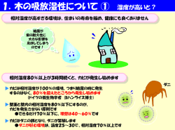 ｽﾗｲﾄﾞ ﾀｲﾄﾙなし