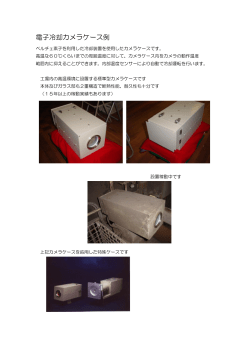 電子冷却カメラケース例