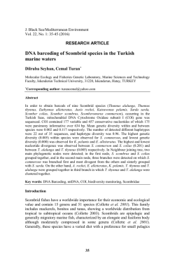 ELECTRIC エレクトリック サングラス グラサン メガネ アクセサリー 眼鏡