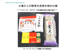 土壌からの酵素生産微生物の分離