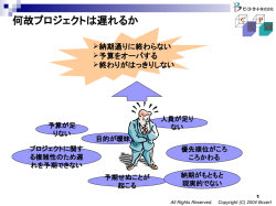 CCPM （Critical Chain Project Management）