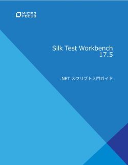 Silk Test Workbench 17.5