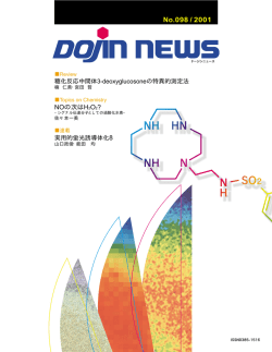 98号 pdf版 (Size:1.6MB)