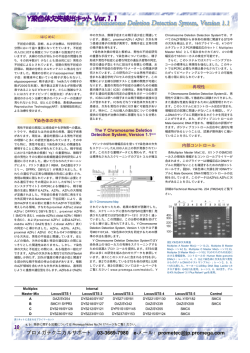 Y染色体欠失検出キット Ver.1.1