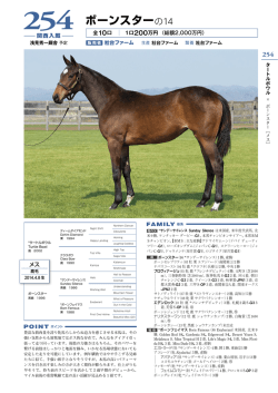 ボーンスターの14