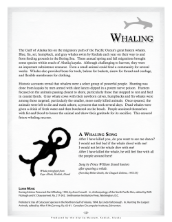 【並品】電位治療器リカバロンパルス Silver/Double 【中古】（Rec_p