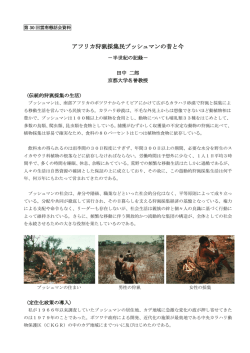 アフリカ狩猟採集民ブッシュマンの昔と今