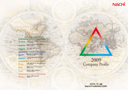 Company Profile 2009