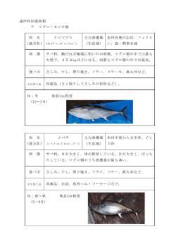 ②遠洋性回遊魚