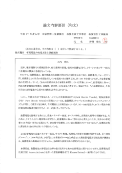 省鉛電池の充電方法と評価規格