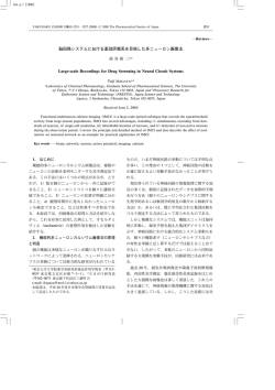 脳回路システムにおける薬効評価系を目指した多ニューロン画像法