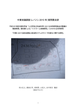 質問票 - 現代中東政治研究ネットワーク CMEPS