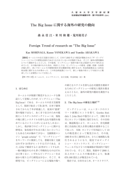 The Big Issue に関する海外の研究の動向
