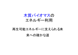 木質バイオマスの エネルギー利用