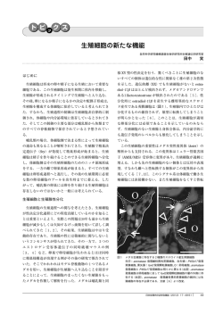 生殖細胞の新たな機能 - 日本生殖内分泌学会