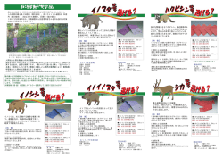 PDF カタログ